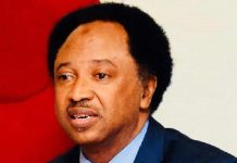 Removal of VAT, import duties on medical supplies changed nothing – Shehu Sani Removal of VAT, import duties on medical supplies changed nothing – Shehu Sani