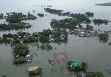 Flood: Borno SEMA rescues 719 victims Flood: Borno SEMA rescues 719 victims