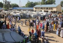 Kano IDP: Red Cross raises alarm over humanitarian crisis Kano IDP: Red Cross raises alarm over humanitarian crisis