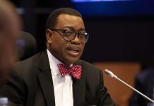 2027: I never said I would contest for president – AfDB boss, Adesina 2027: I never said I would contest for president – AfDB boss, Adesina
