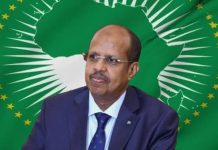 Djibouti’s foreign minister elected chairman of African Union Djibouti’s foreign minister elected chairman of African Union