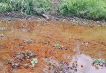 Group alerts NOSDRA, SHELL of oil spill in Obololi community in Bayelsa Group alerts NOSDRA, SHELL of oil spill in Obololi community in Bayelsa