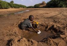 One child dies every two minutes due to water scarcity – Activist One child dies every two minutes due to water scarcity – Activist