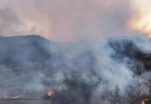 Wildfires kill four in South Korea, injure six Wildfires kill four in South Korea, injure six