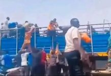 Gombe: Youths loot Ramadan palliatives allegedly distributed by Seyi Tinubu Gombe: Youths loot Ramadan palliatives allegedly distributed by Seyi Tinubu