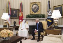 UAE president, Trump discuss Gaza ceasefire efforts UAE president, Trump discuss Gaza ceasefire efforts