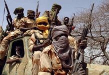 Bandits flee after swift military, police response in Katsina Bandits flee after swift military, police response in Katsina