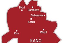 Fear in Kano as polluted air causes viral diseases Fear in Kano as polluted air causes viral diseases