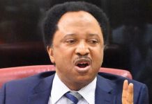 Shehu Sani Urges Kemi Badenoch to Focus on UK Shehu Sani Urges Kemi Badenoch to Focus on UK