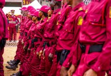 Amotekun Arrests Suspected Armed Robber in Ogun Amotekun Arrests Suspected Armed Robber in Ogun