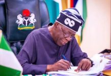 Tinubu appoints 39-year-old NERC Chairman Tinubu appoints 39-year-old NERC Chairman