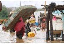 Flood destroys houses, farmlands in Nasarawa communities Flood destroys houses, farmlands in Nasarawa communities