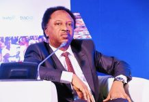 Shehu Sani Urges Nigerian Govt to Fulfill $150,000 Pledge Shehu Sani Urges Nigerian Govt to Fulfill $150,000 Pledge