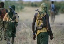 Gunmen ambush, kill two mobile police officers in Zamfara Gunmen ambush, kill two mobile police officers in Zamfara