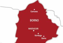 Troops Repel ISWAP Raid in Borno Inflicting Casualties Troops Repel ISWAP Raid in Borno Inflicting Casualties
