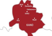 NDLEA arrests man with 7,000 Tramadol capsules in Kano NDLEA arrests man with 7,000 Tramadol capsules in Kano