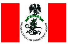 NDLEA Promotes Seven Officers to Deputy Commander NDLEA Promotes Seven Officers to Deputy Commander
