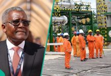 Dangote–Pengassan Clash over Staff Dismissals Dangote–Pengassan Clash over Staff Dismissals