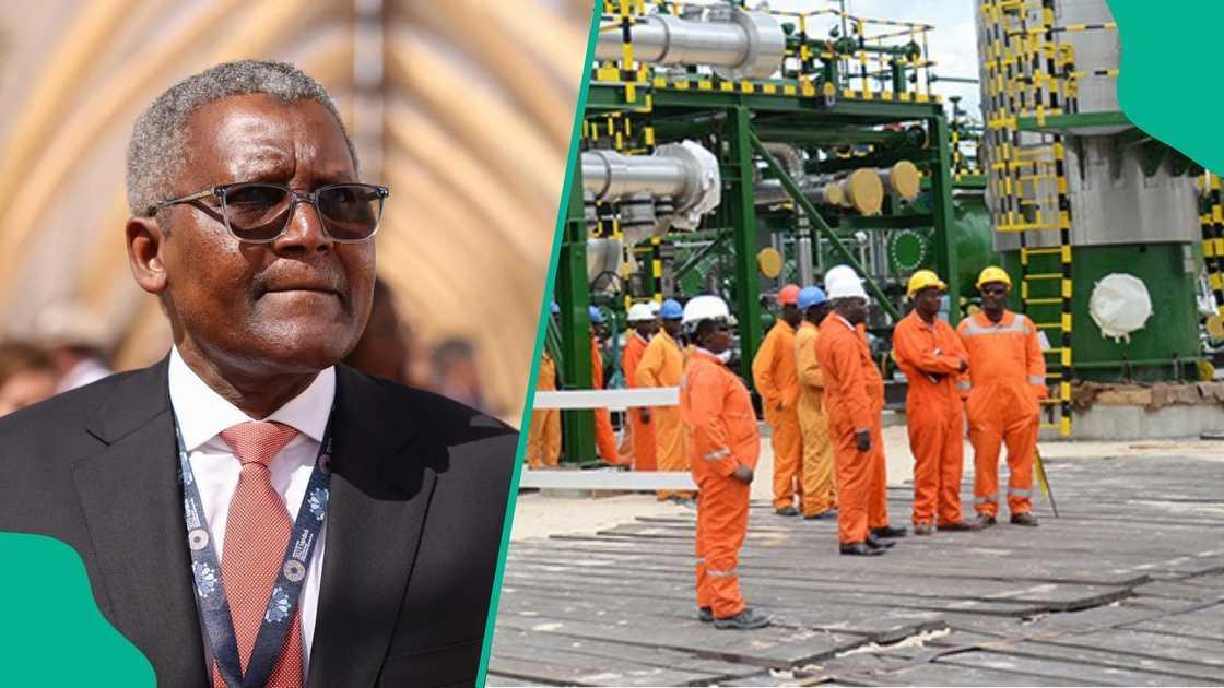 Dangote–Pengassan Clash over Staff Dismissals Dangote–Pengassan Clash over Staff Dismissals