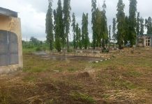 Bellview Crash Victims’ Gravesite Shows 20 Years of Neglect Bellview Crash Victims' Gravesite Shows 20 Years of Neglect