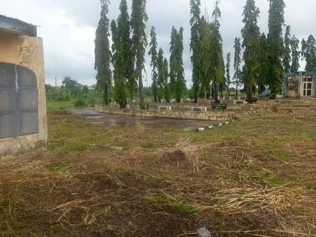 Bellview Crash Victims' Gravesite Shows 20 Years of Neglect Bellview Crash Victims' Gravesite Shows 20 Years of Neglect