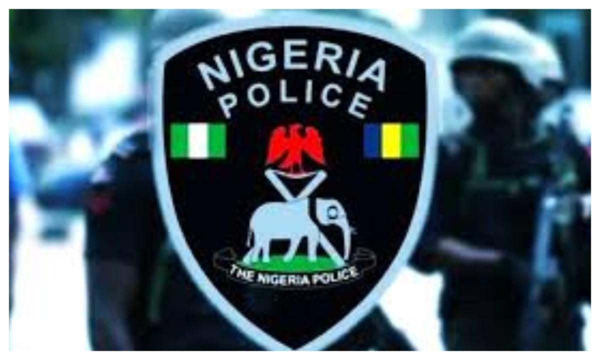 Bauchi Police Arrest Suspected Kidnapper, Rescue Children Bauchi Police Arrest Suspected Kidnapper, Rescue Children