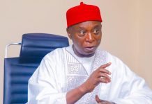 Senator Ned Nwoko Denies Claims About New Wife Senator Ned Nwoko Denies Claims About New Wife