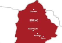 Troops Ambush Boko Haram Logistics Team in Gwoza Troops Ambush Boko Haram Logistics Team in Gwoza