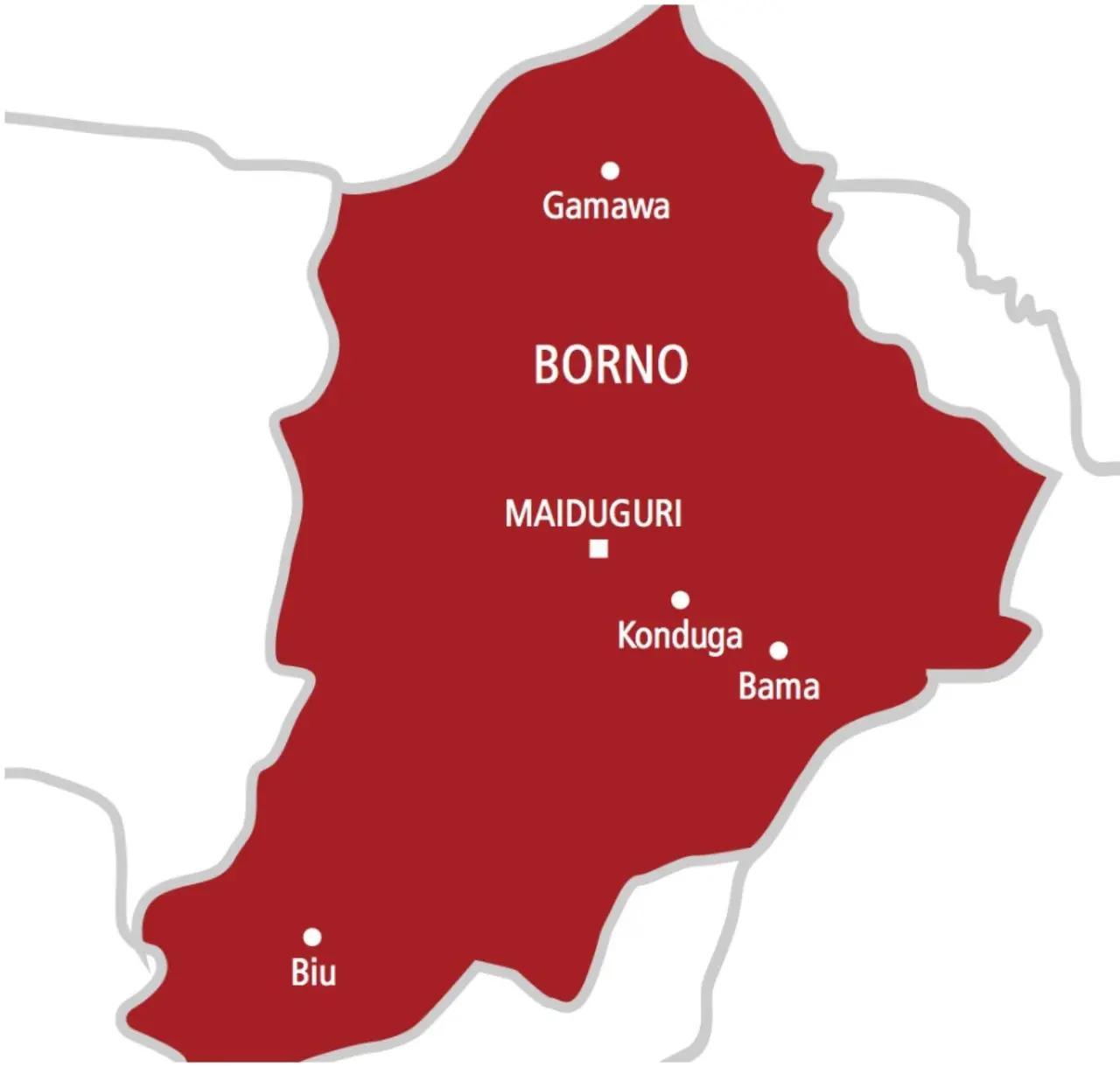 Troops Ambush Boko Haram Logistics Team in Gwoza Troops Ambush Boko Haram Logistics Team in Gwoza