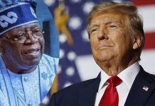 Genocide in Nigeria Clarified by Trump Tinubu Meeting Genocide in Nigeria Clarified by Trump Tinubu Meeting