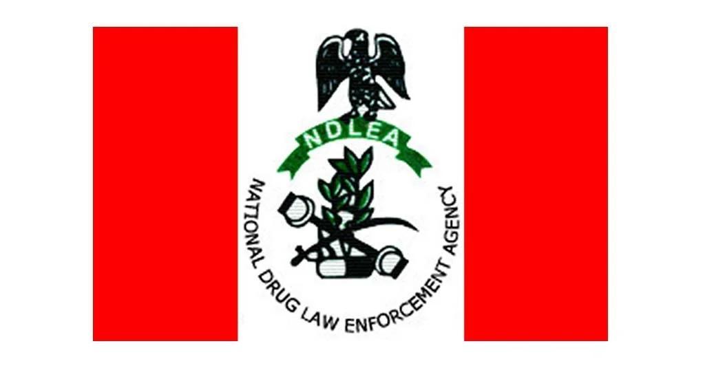 NDLEA destroys over 25 tonnes of illicit drugs in Kebbi NDLEA destroys over 25 tonnes of illicit drugs in Kebbi