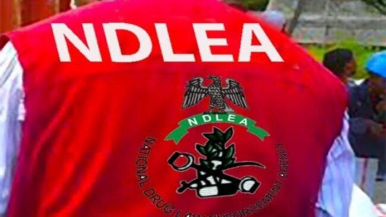 NDLEA arrests wanted drug baron in Lagos, others NDLEA arrests wanted drug baron in Lagos, others