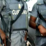 Customs Seizes Lion Cub Monkeys on Badagry-Seme Road Customs Seizes Lion Cub Monkeys on Badagry-Seme Road