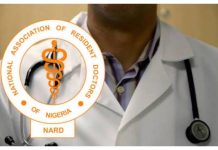 NARD Strike Continues Amid Unmet Demands NARD Strike Continues Amid Unmet Demands