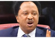 Shehu Sani on Tinubu’s Police Withdrawal Statement Shehu Sani on Tinubu's Police Withdrawal Statement