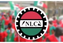 NLC rejects NSITF Bill, declares emergency meeting NLC rejects NSITF Bill, declares emergency meeting