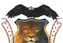 Group Urges Igbo Communities to Establish Vigilante Units Group Urges Igbo Communities to Establish Vigilante Units