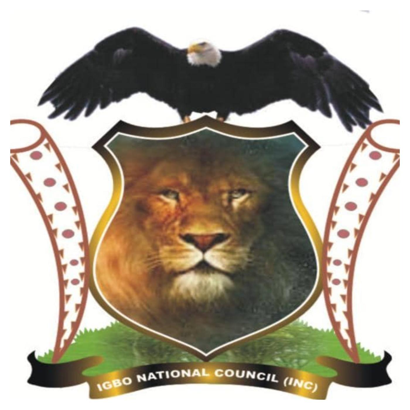 Group Urges Igbo Communities to Establish Vigilante Units Group Urges Igbo Communities to Establish Vigilante Units