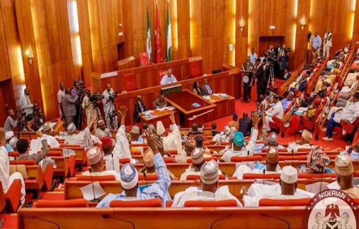 Outrage as Nigerian Senate moves to hike tax on soft drinks Outrage as Nigerian Senate moves to hike tax on soft drinks