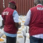 NDLEA Seizes 7.6 Million Tramadol Pills and Cannabis NDLEA Seizes 7.6 Million Tramadol Pills and Cannabis