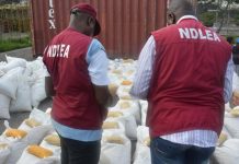 NDLEA Seizes 7.6 Million Tramadol Pills and Cannabis NDLEA Seizes 7.6 Million Tramadol Pills and Cannabis