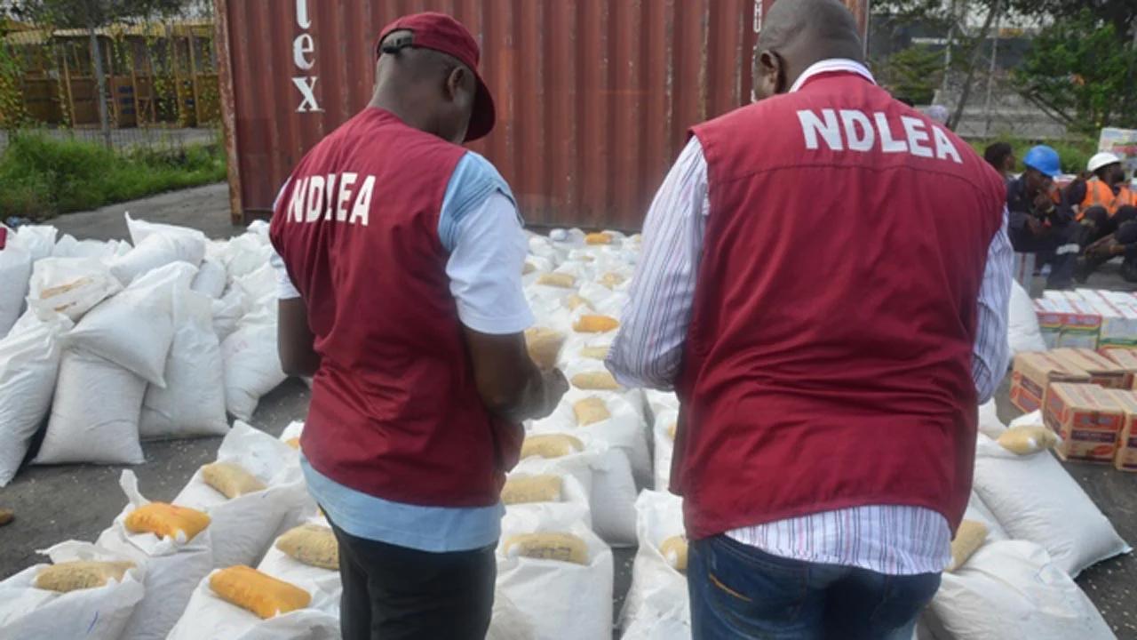 NDLEA Seizes 7.6 Million Tramadol Pills and Cannabis NDLEA Seizes 7.6 Million Tramadol Pills and Cannabis