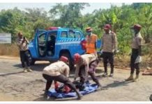 Two dead, two injured in separate midnight crashes in Lagos Two dead, two injured in separate midnight crashes in Lagos