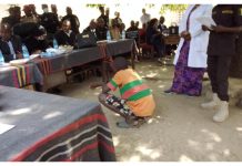 Adamawa Committee Upholds Man’s Jail Sentence for Theft Adamawa Committee Upholds Man's Jail Sentence for Theft