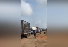 Gridlock as truck drivers block Lagos-Ibadan Expressway Gridlock as truck drivers block Lagos-Ibadan Expressway