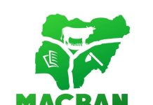 MACBAN Reports Gunmen Attack Herders in Plateau MACBAN Reports Gunmen Attack Herders in Plateau