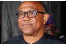 2027: Peter Obi remains member of ADC coalition – Nwosu 2027: Peter Obi remains member of ADC coalition – Nwosu