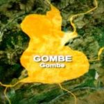 Seven journalists killed in Gombe auto crash Seven journalists killed in Gombe auto crash