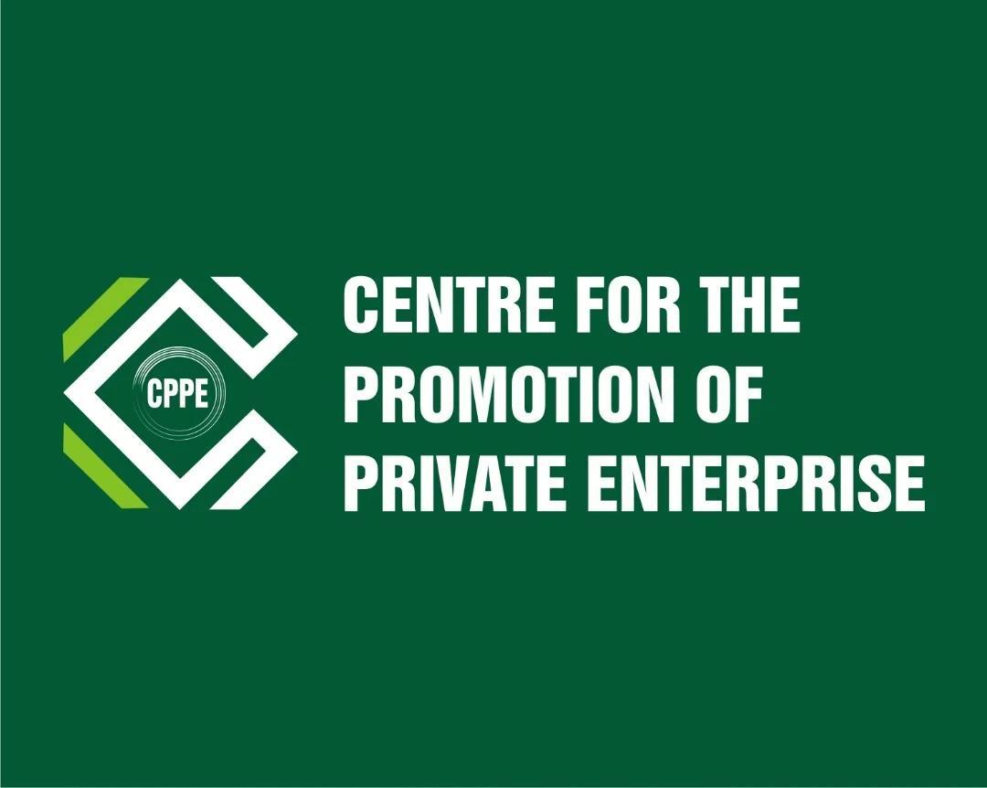 Why Nigeria’s new tax law may not succeed – CPPE Why Nigeria’s new tax law may not succeed – CPPE