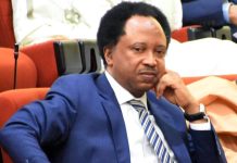 Focus on Nigeria’s Issues Not Trump US Bakatsine Tells Sani Focus on Nigeria's Issues Not Trump US Bakatsine Tells Sani